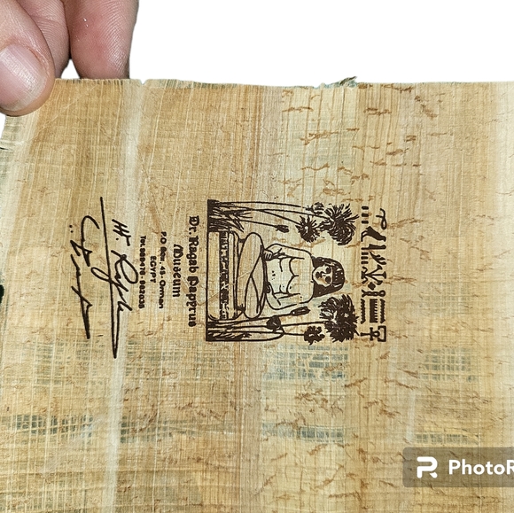 *Free Shipping* Egyptian Papyrus Hand Painted Museum Print Nefertiti 7×10 - Picture 8 of 9